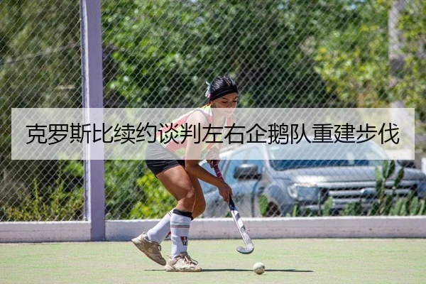 克罗斯比续约谈判左右企鹅队重建步伐 | kaiyun.com