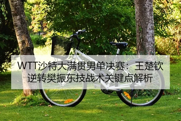 sha-te-da-man-guan-nan-dan-jue-sai-wang-chu-qin-ni-zhuan-fan-zhen-dong-ji-zhan-shu-guan-jian-dian-jie-xi-2-420.jpg